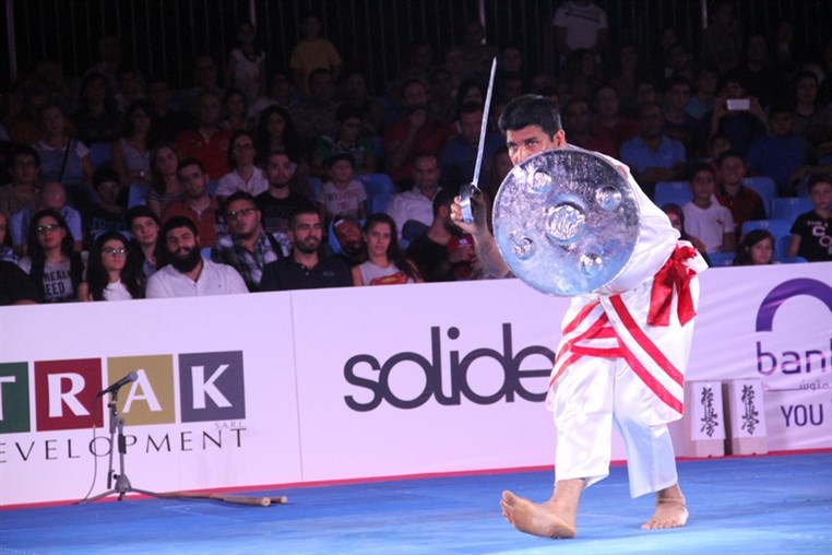 Martial Arts Festival